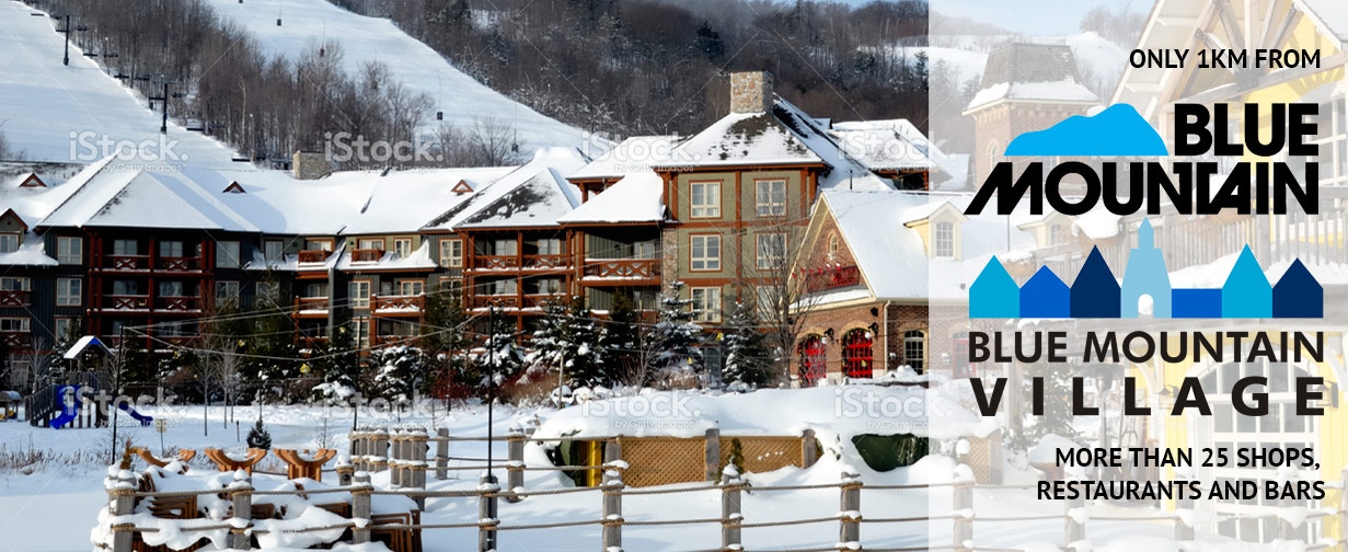 Blue Mountain Chalets Ski Collingwood Cottages Rentals