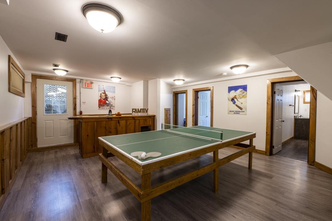 Basement Ping Pong Table