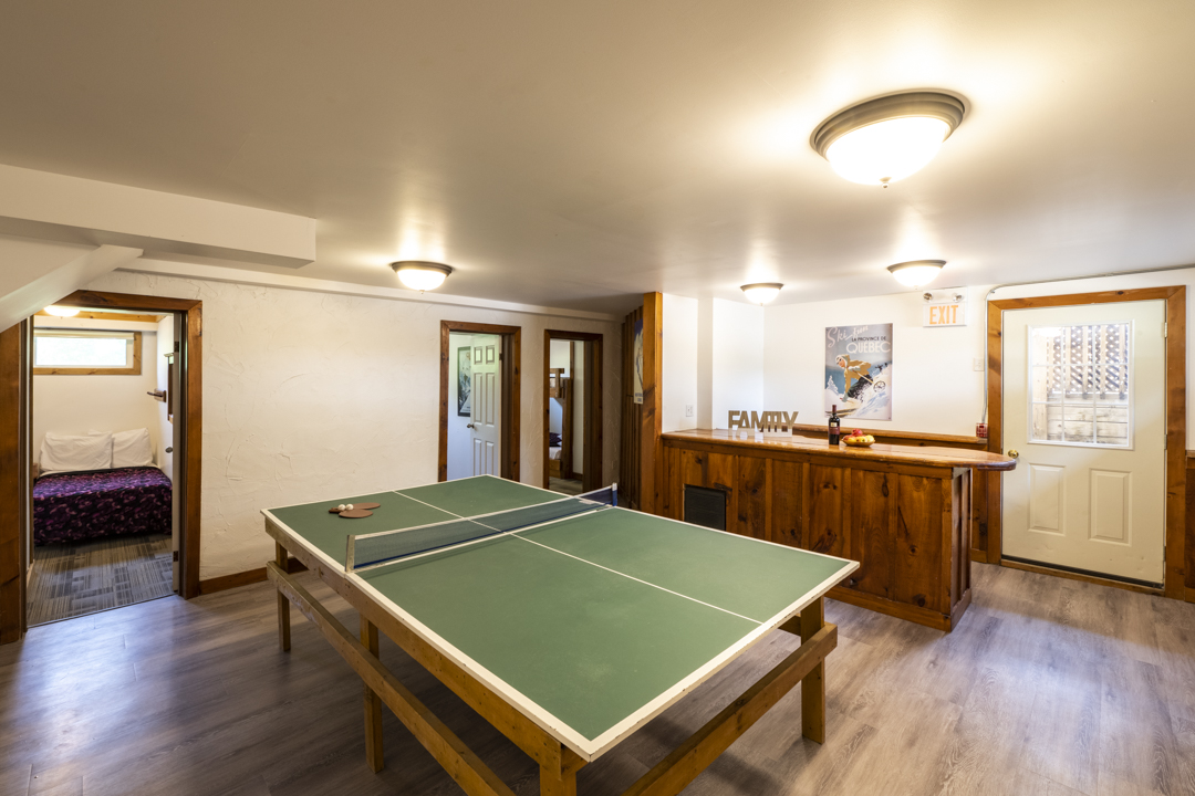 Basement Ping Pong Table