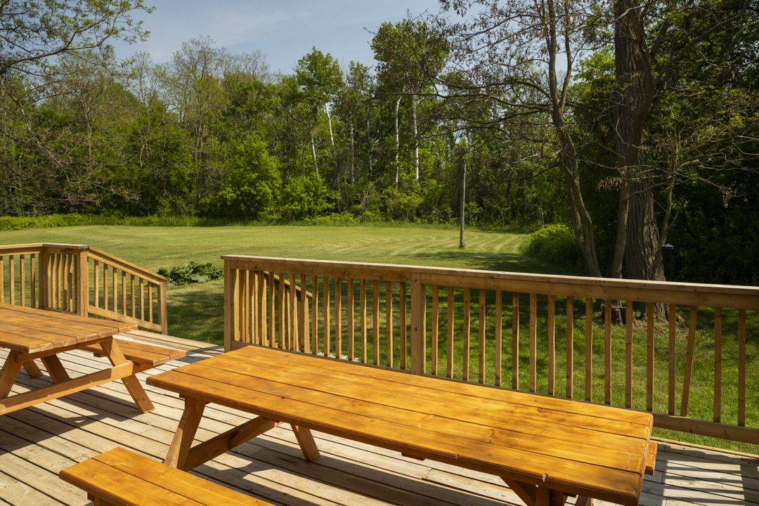 backyard view from the deck