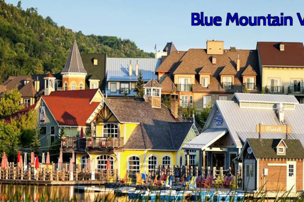 6 BR Blue Mountain Cottage - Private Beach - Hot Tub - Sauna, Ping Pong Table #53R_13